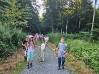 512 Lama-Trekking mit bräteln am Lagerfeuer 22