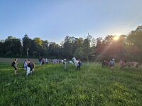 512 Lama-Trekking mit bräteln am Lagerfeuer 24