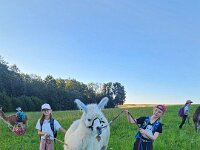 512 Lama-Trekking mit bräteln am Lagerfeuer 25