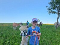 512 Lama-Trekking mit bräteln am Lagerfeuer 27