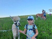 512 Lama-Trekking mit bräteln am Lagerfeuer 28