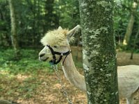 5. Abenteuer und Natur