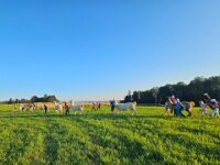 512 Lama-Trekking mit bräteln am Lagerfeuer 32