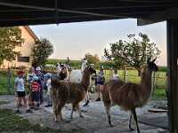 512 Lama-Trekking mit bräteln am Lagerfeuer 35