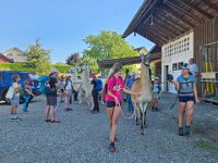 512 Lama-Trekking mit bräteln am Lagerfeuer 7