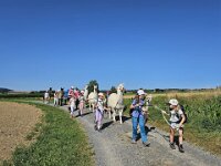 512 Lama-Trekking mit bräteln am Lagerfeuer 8