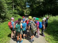 520 Bei Feuersalamander und Buntspecht (1)