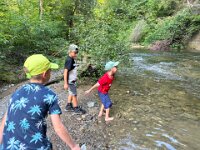520 Bei Feuersalamander und Buntspecht (10)