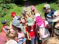 520 Bei Feuersalamander und Buntspecht (2)