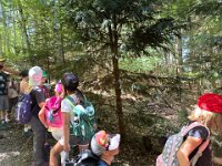 520 Bei Feuersalamander und Buntspecht (3)