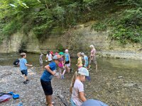 520 Bei Feuersalamander und Buntspecht (5)