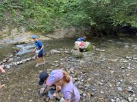 520 Bei Feuersalamander und Buntspecht (6)