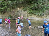 520 Bei Feuersalamander und Buntspecht (7)