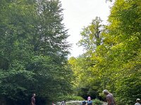 520 Bei Feuersalamander und Buntspecht (8)