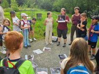 603 Was flattert da durch die Nacht (3)