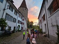 603 Was flattert da durch die Nacht