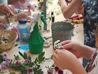 213 Blumenkränzli 1