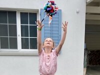 272 Schnüffelball für Hunde oder Katzen (10)