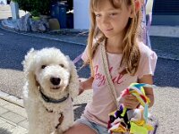 272 Schnüffelball für Hunde oder Katzen (13)  272 Schnüffelball für Hunde oder Katzen