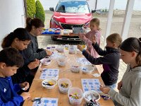 272 Schnüffelball für Hunde oder Katzen (17)