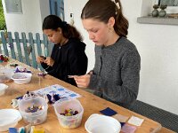 272 Schnüffelball für Hunde oder Katzen (19)