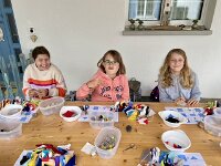 272 Schnüffelball für Hunde oder Katzen (6)