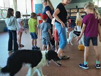 314 Hunde verstehen lernen 1