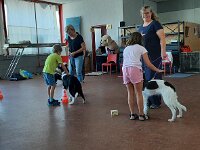 314 Hunde verstehen lernen