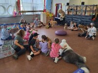 322 Kids & Dogs (1)