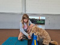 322 Kids & Dogs (2)
