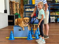 322 Kids & Dogs (3)