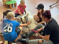 322 Kids & Dogs