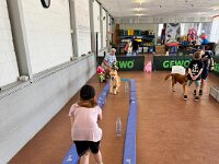 322 Kids & Dogs (5)