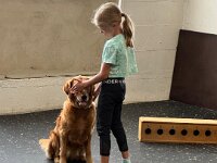 322 Kids & Dogs (6)