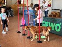 322 Kids & Dogs (7)