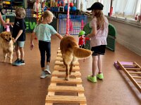 322 Kids & Dogs (8)