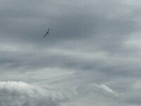 354 Modellflug hautnah erleben (20)