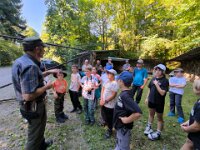 503 Reh, Fuchs, Dachs und viel Spannung (1)