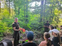 503 Reh, Fuchs, Dachs und viel Spannung (3)