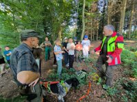 503 Reh, Fuchs, Dachs und viel Spannung (4)