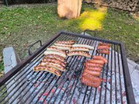 503 Reh, Fuchs, Dachs und viel Spannung (5)