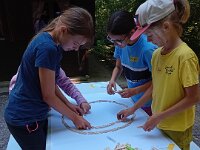 513 Ein ungewöhnlicher Waldtag (1)
