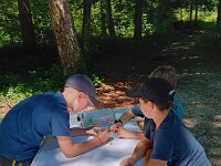 513 Ein ungewöhnlicher Waldtag (2)