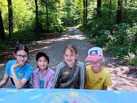 513 Ein ungewöhnlicher Waldtag (3)