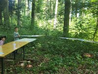 513 Ein ungewöhnlicher Waldtag (6)