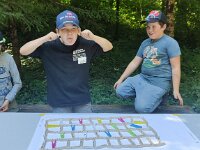 513 Ein ungewöhnlicher Waldtag (8)