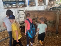 515 Besuch beim Bauern (4)