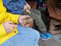 518 kreative Waldwerkstatt (8)