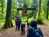 521 Ponytrekking auf dem Freiämter Sagenweg