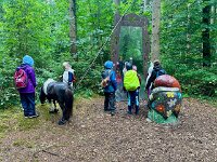 521 Ponytrekking auf dem Freiämter Sagenweg 3